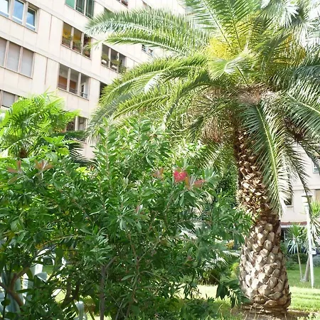 Bed and breakfast Didavi' 4*